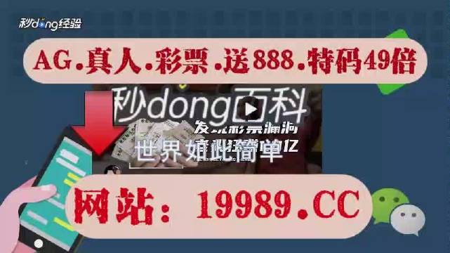 2024新澳门天天开好彩大全正版,市场趋势方案实施_Hybrid45.853