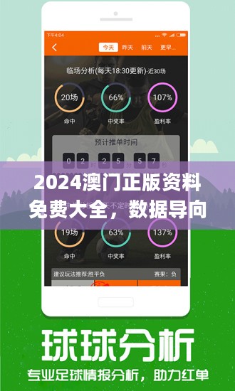 2024新澳今晚资料,深入执行方案设计_挑战版45.362