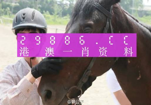 今晚澳门精准一肖一马,最新研究解析说明_4K版13.163