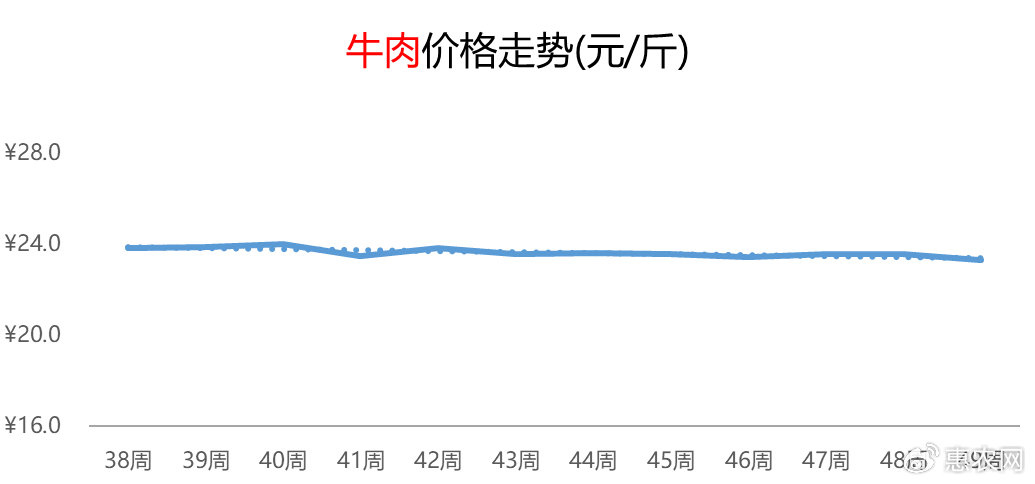 今日牛肉市场最新价格动态，深度分析预测市场趋势