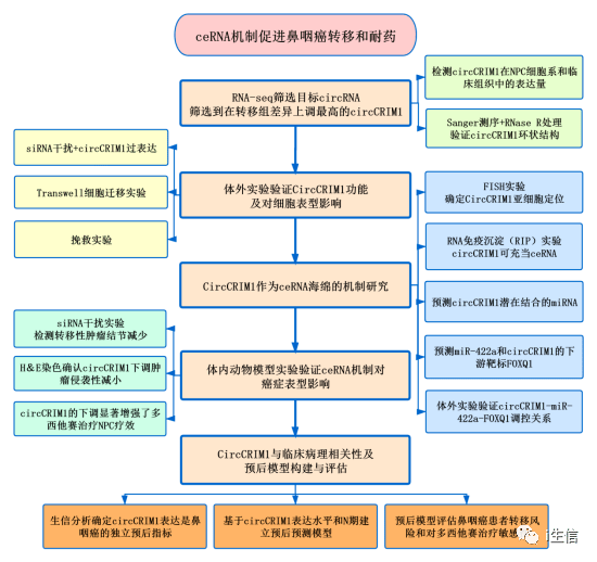 澳彩资料站199618,实证解析说明_AR34.670