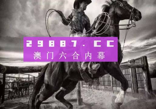 澳门跑狗,精细化策略解析_YE版94.647