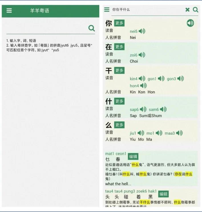 数字化时代下的汉字奥秘，查字软件的重要性与应用探索