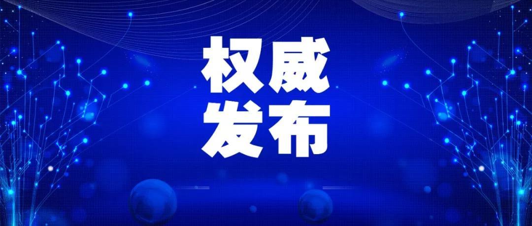 新澳最精准正最精准龙门客栈,实地解读说明_V69.240