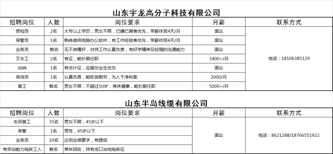 龙口招聘网实时职位信息概览