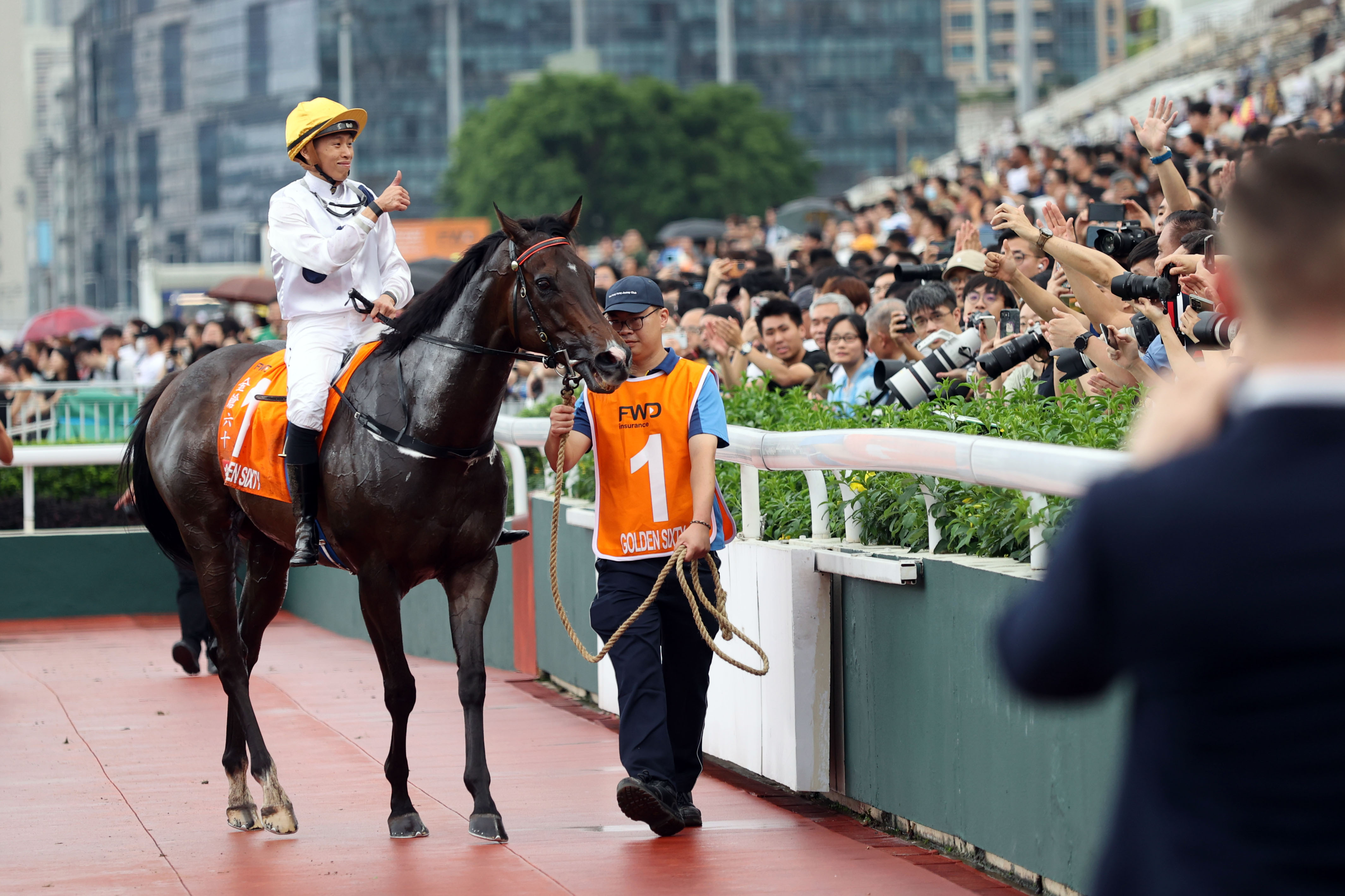 2024香港赛马全年免费资料,专业解析说明_VIP18.608