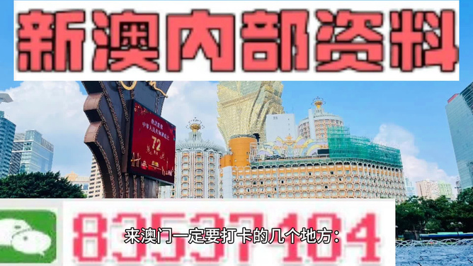 新澳门2024年正版免费公开,动态调整策略执行_升级版27.44