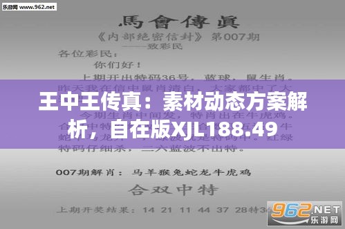 7777788888王中王传真,实地研究解析说明_交互版84.21