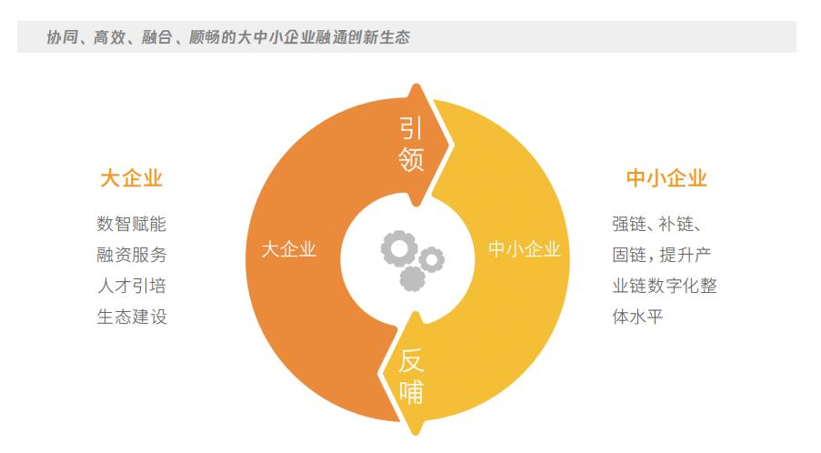 如何设置下载途径，提升下载体验指南