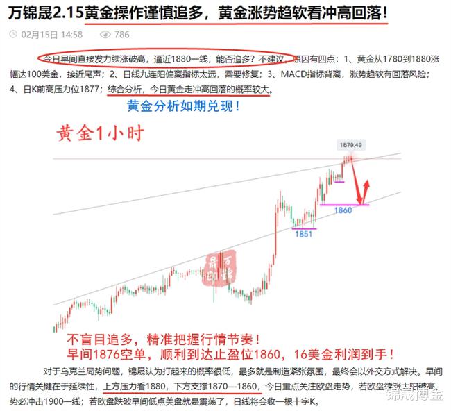 澳门最精准免费资料大全旅游团,实地数据分析计划_黄金版47.855