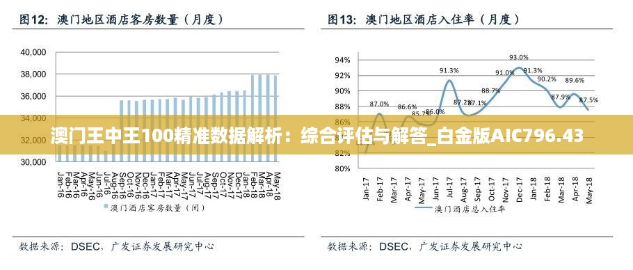 澳门精准王中王免费公开,数据整合策略解析_8K19.233