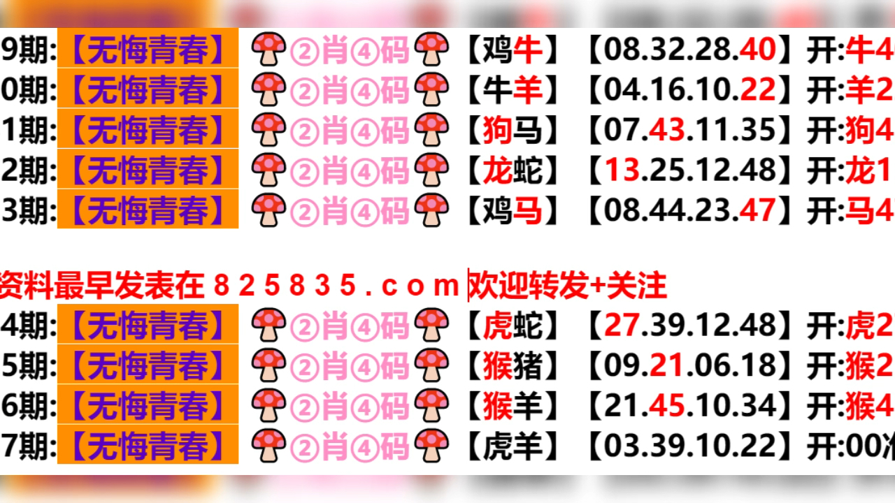 2024新奥门天天开好彩大全85期,实际数据说明_专属版82.161