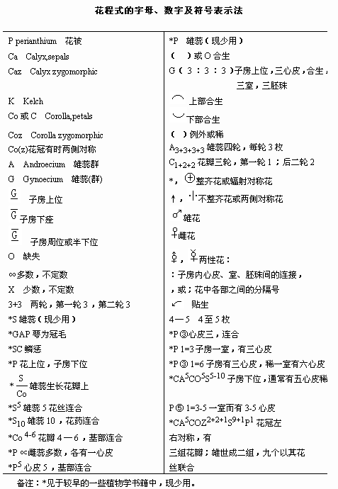 新奥门开将记录新纪录,实践经验解释定义_基础版83.49