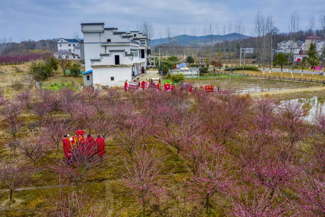 湖口县特殊教育事业单位发展规划展望