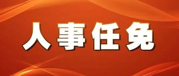 最新人事任命动态揭秘，揭秘惠民文化局高层人事调整