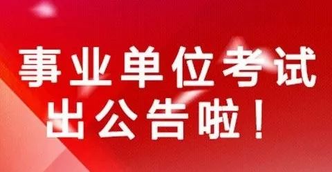 文县审计局最新招聘信息全面解析