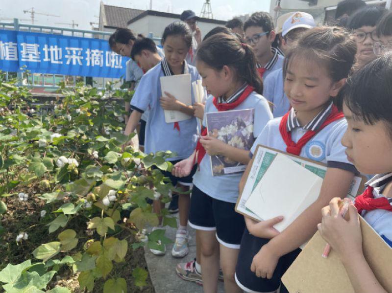 温宿县小学发展规划展望