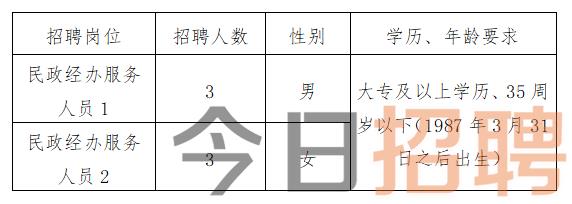 西昌市统计局最新招聘信息概览