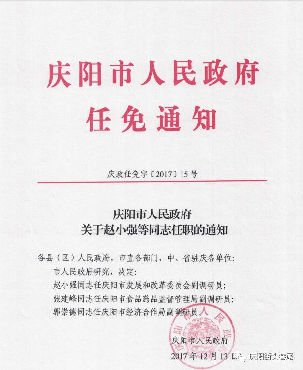 高要市统计局人事任命推动统计事业迈向新高度进展报道