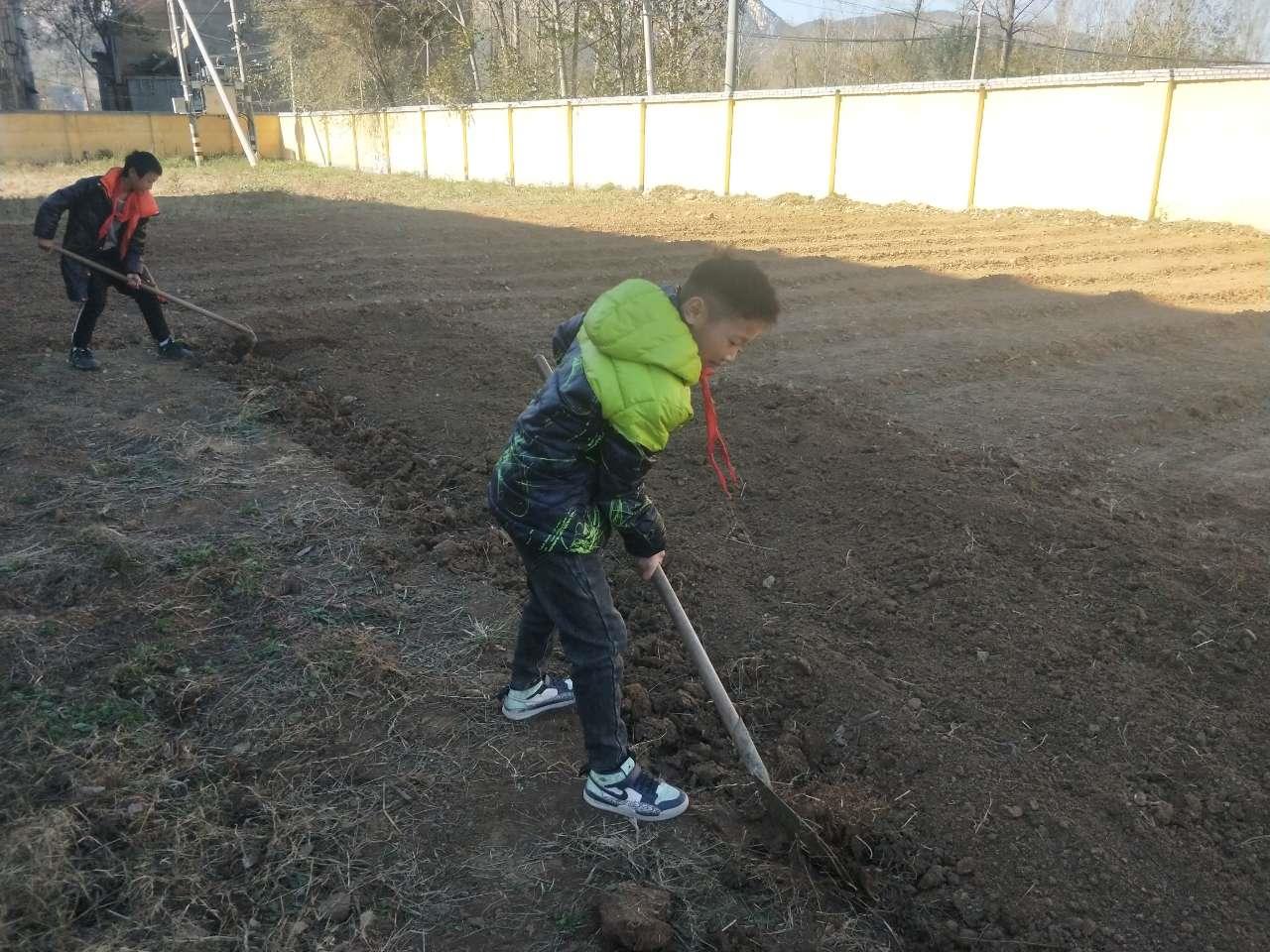 登封市小学领导团队重塑，引领未来教育新篇章