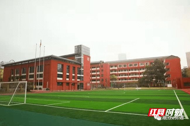 尖山区小学最新项目概览，细节揭示未来教育新面貌