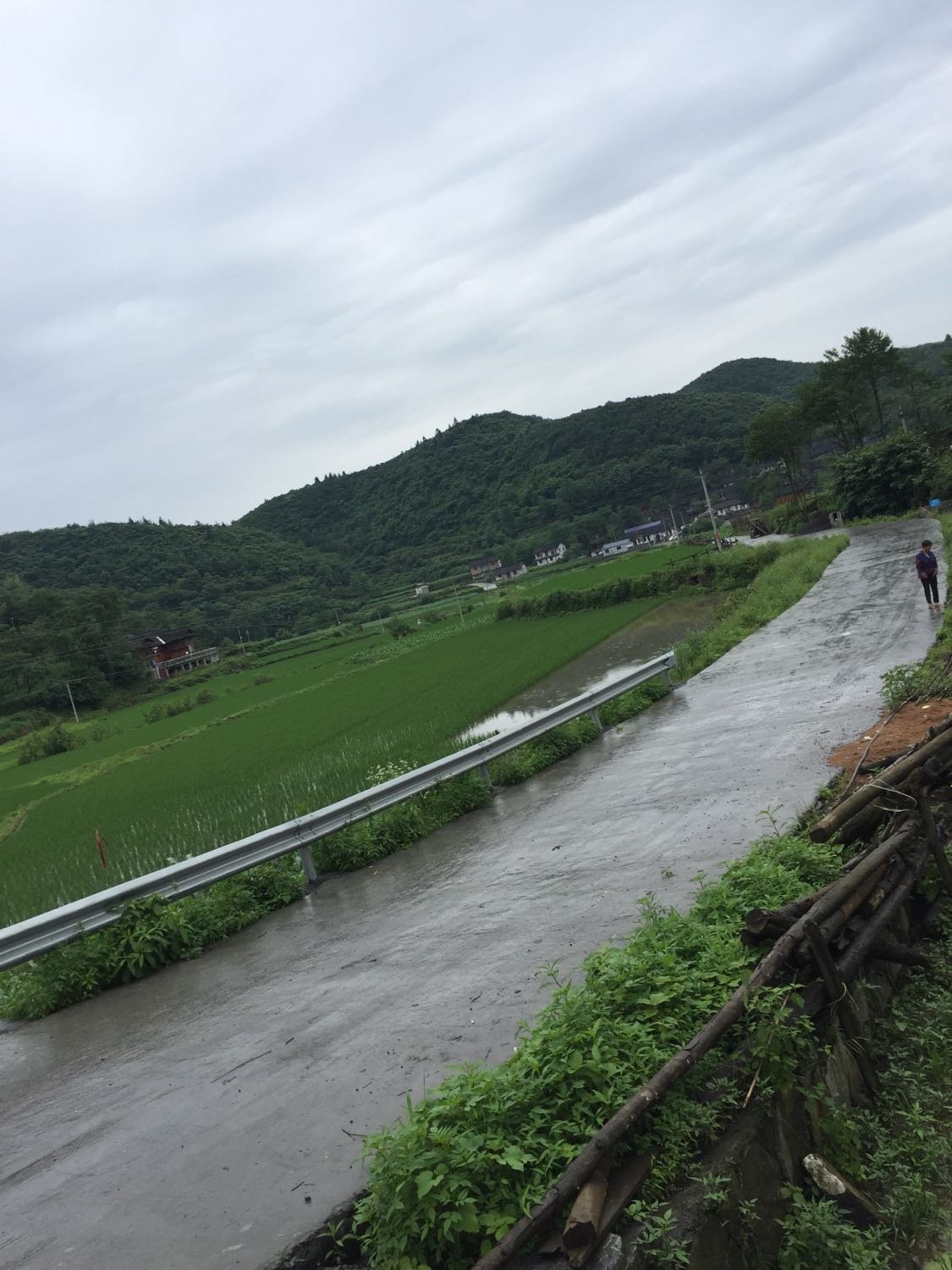 沿溪乡天气预报更新通知