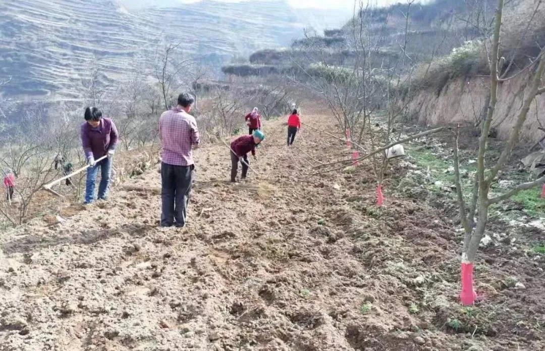 西和县市场监督管理局新项目推动市场监管现代化，助力县域经济飞跃发展