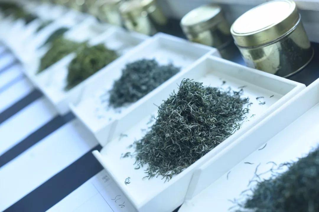 句容下蜀茶场最新招聘与职业机会解析